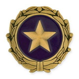 Blank Gold Star Wives of America Pin, 1