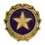Blank Gold Star Wives of America Pin, 1" W x 1" H, Price/piece