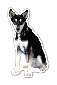 Custom Dog #13 Magnet - 5.1-7 Sq. In. (30MM Thick)