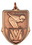Custom 100 Series Stock Medal (Female Swimming) Gold, Silver, Bronze, Price/piece