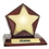 Custom Star Award on Piano Wood Base