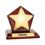 Custom Star Award on Piano Wood Base