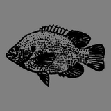 Custom Fish (Bluegill) Bag Tag