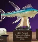 Custom Yellow Fin Tuna Award (8