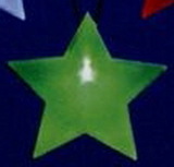 Custom Green LED Star badge with lanyard