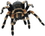 Custom Spider Magnet (7.1-9 Sq. In. & 30mm Thick), Price/piece