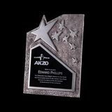 Custom Ruddington Silver Star Award (8