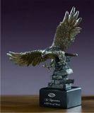 Custom Silver Eagle Award, 10.5