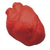 Custom Anatomical Heart Squeezies Stress Reliever