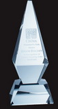 Custom Excellence Tower Award - Small, 9 7/8