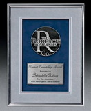 Custom Delaware Framed Award, 9