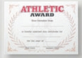 Custom Stock Certificate (Athletic)