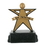 Blank Star Performer Award Scholastic Resin Trophy, 5 1/4" H(Without Base), Price/piece