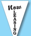 Blank 30' Stock Pre-Printed Message Pennant String -Now Leasing
