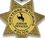 Custom Junior Sheriff Deputy 7 Pointed Star Stock Badge, Price/piece