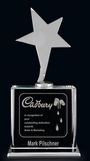 Custom Optic Crystal & Star Vega Award (7