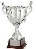 Custom Trophy Cup (24 3/4