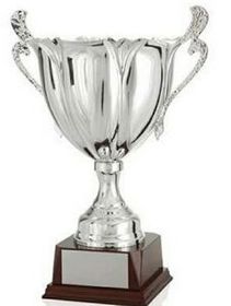 Custom Trophy Cup (24 3/4")