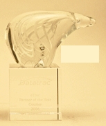 Custom Environmental Safety Glass Award (6"x3.5")