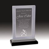 Custom Silver Carved Rectangle Impress Acrylic Award (8 3/4