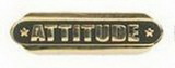 Custom Stock Die Struck Pin (Attitude)