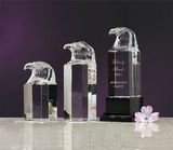 Custom Optical Crystal Eagle Award (6