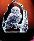 Custom Glacier Hand Blown Glass Owl Award (6