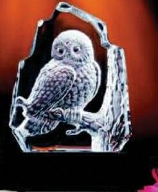 Custom Glacier Hand Blown Glass Owl Award (6")