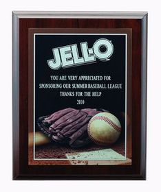 8"x10" Baseball Photo Sports Plaque w/Laser Engraved Plate