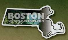 Custom 3.1-5 Sq. In. (B) Magnet - State of Massachusetts, 30mm Thick
