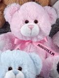 Custom Tumbles Baby Pink Stuffed Bear