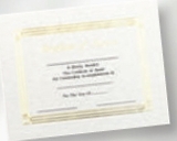 Custom Foil Embossed Stock Certificate (Award), 8 1/2