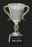 Custom Victorious! M Crystal Cup Trophy Award M, 7.25