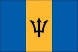 Custom Barbados/ Nylon Outdoor UN O.A.S Flags of the World (2'x3')