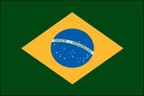 Custom Brazil Endura Poly Mounted Flag of the World (12