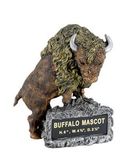Blank Buffalo School Mascot