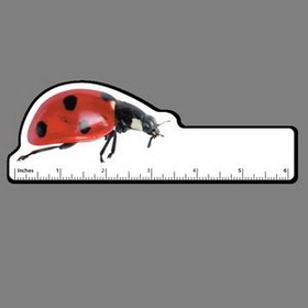 Custom 6" Ruler W/ Full Color Ladybug