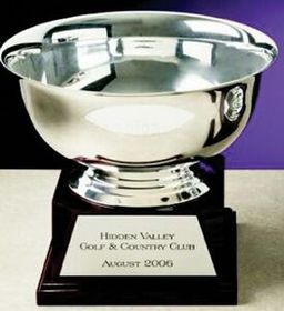 Custom Silver Plated Aluminum Cup Award (10")