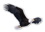 Custom Flying Eagle #2 Magnet (7.1-9 Sq. In. & 30mm Thick)