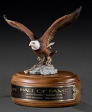 Custom Soaring Eagle Award, 8