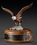 Custom Soaring Eagle Award, 8" W X 10 1/2" H X 6" D, Price/piece