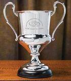Custom Brigadier Trophy Cup, 12 1/2