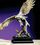 Custom Watchful Eagle Award (16"), Price/piece
