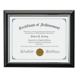 Custom Trent Certificate Frame - Black/Silver 81/4