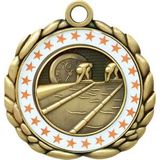Custom Quali-Craft Swimming Medallion