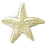 Blank Starfish Pin - Gold, 3/4