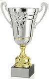 Custom Grand Champion Trophy (23