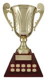 Custom Gold Mancini Annual Cup Award, 25.25