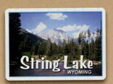 Custom Wyoming - Magnet 2.98 Sq. In. & 15 MM Thick, 2.04