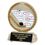 Custom Ice Hockey Stone Resin Trophy w/ Engraving Plate, Price/piece
